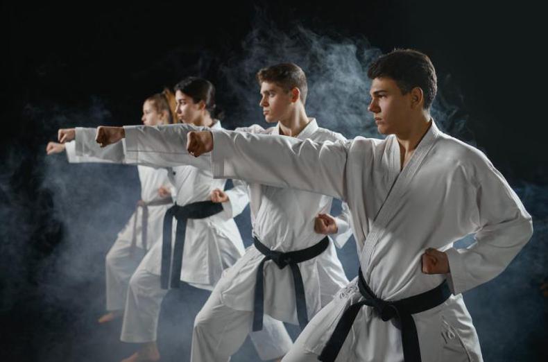 Partner des Karateturniers für Jugendliche